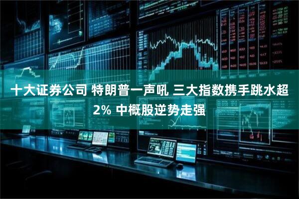 十大证券公司 特朗普一声吼 三大指数携手跳水超2% 中概股逆势走强